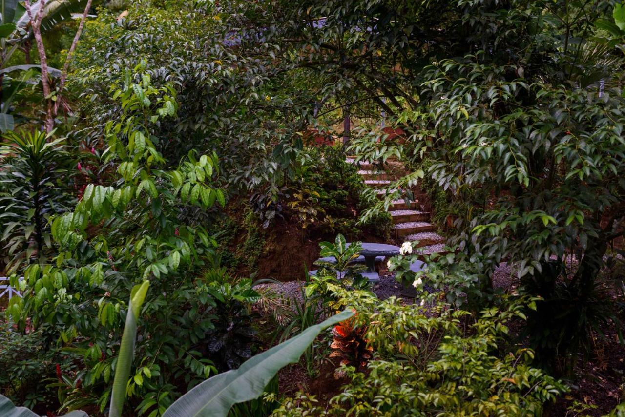 Volcano Gold Loft La Fortuna Exterior foto